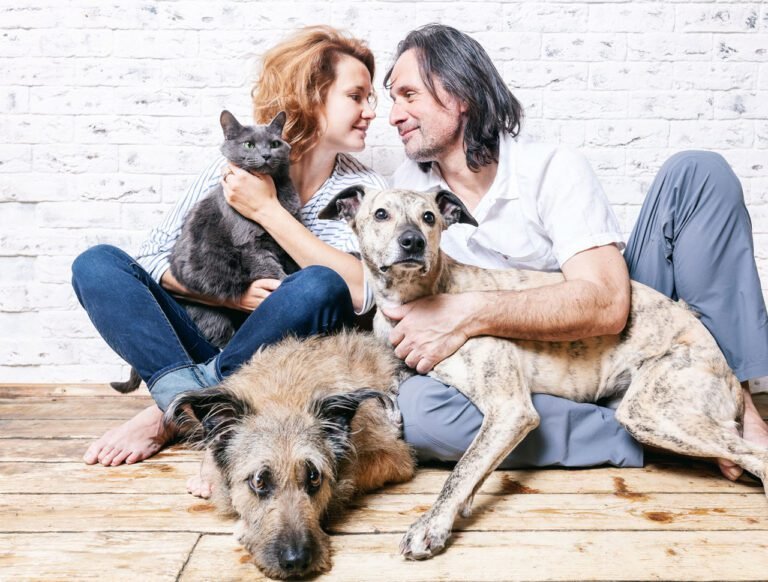 A Dating Site For Animal Lover